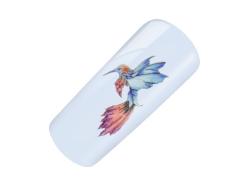 NailArt Tattoo Colibri