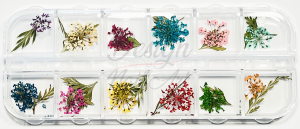 Roue Fleurs Séchée