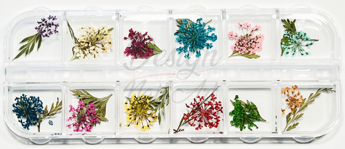 Roue Fleurs Séchée