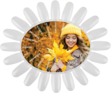 Gel Polish Blush Beauty