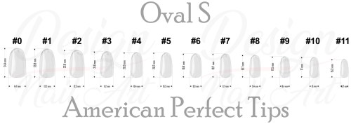 American Perfect Tips ovale Short