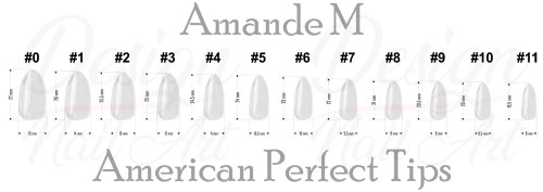 Recharge American Tips Amande M #2