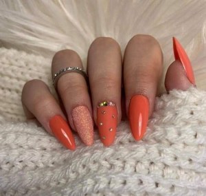 Gel Polish Blush Beauty