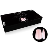  Capsule Américaine Coffin S Nude