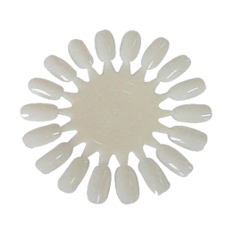 Nuancier naturel rond